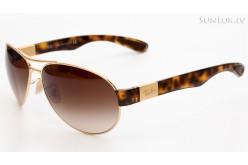 Ray-Ban Active Lifestyle Aviator (RB3509 001/13 63mm) saules brilles